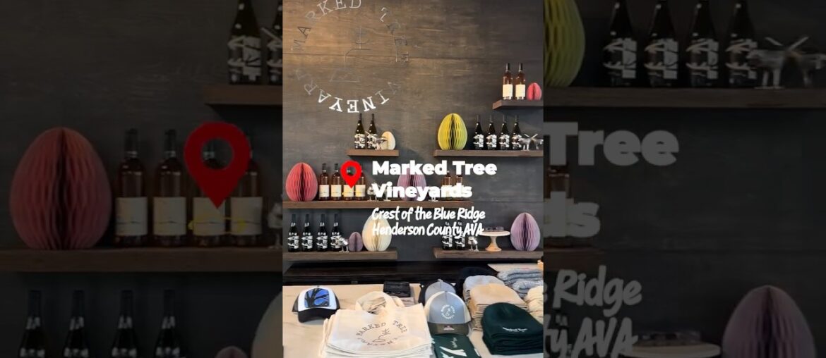 Marked Tree Vineyards | Old World Wine: Southern Style