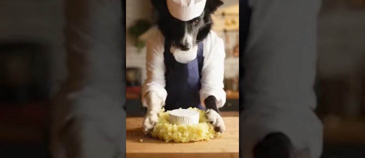 Michelin French Herbed Brie Lava Balls by Chef Doggo! 🇫🇷🧀 | Molten Core ASMR