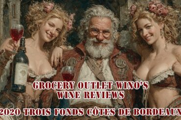 Grocery Outlet Wino Wine Review: 2020 Trois Fonds Cotes de Bordeaux - No Regrets