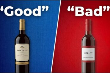 What Makes a Good Red Wine GOOD