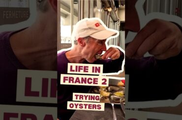 Life in France 2 - Trying Oysters