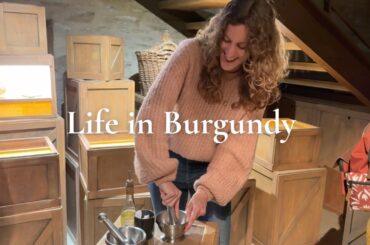 Learning about life in the countryside of Burgundy