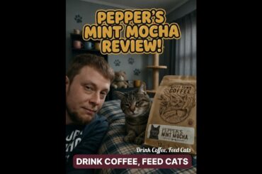 Kitty Town Coffee: Pepper's Mint Mocha Coffee Review