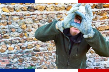 Een Marter terroriseert ons huis, Laurier haag, Wandeling Semur en Brionnais