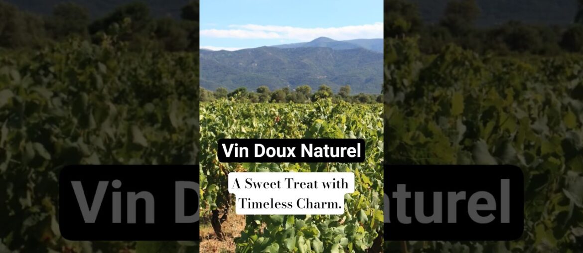 Vin Doux Naturel from Southern France. #wineeducation #frenchwine #sommelier