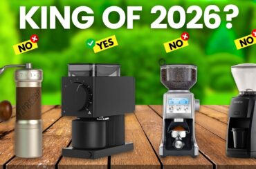 6 Best Coffee Grinder 2026