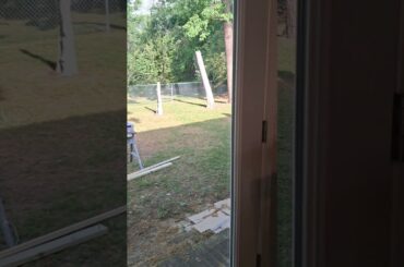 Before n After window film on French doors in dining room.