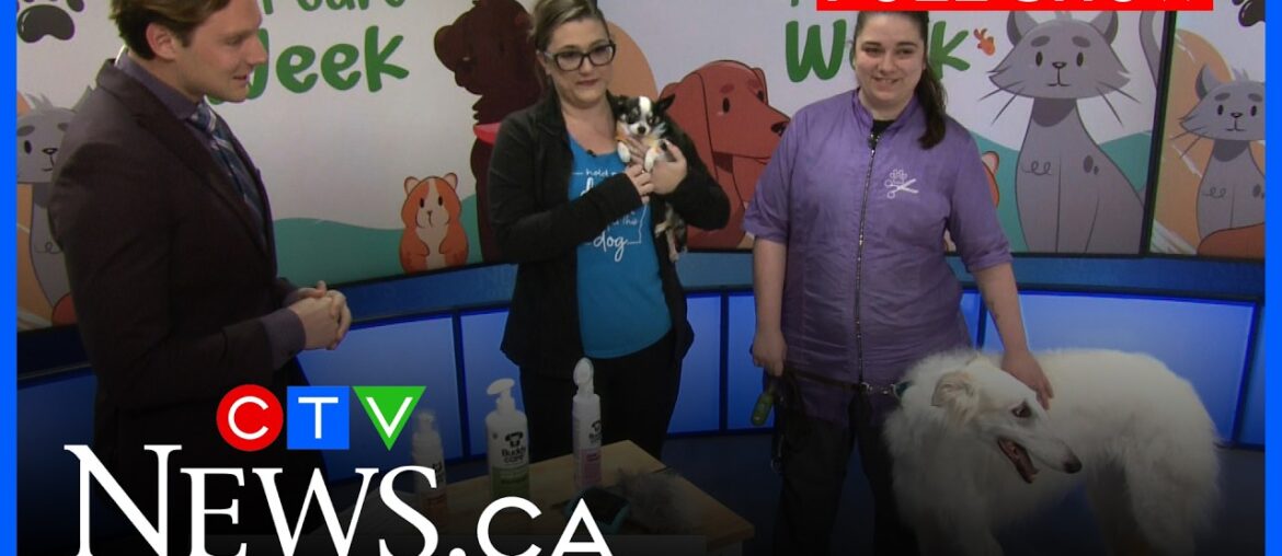 CTV Your Morning Ottawa for Monday, April 6, 2026