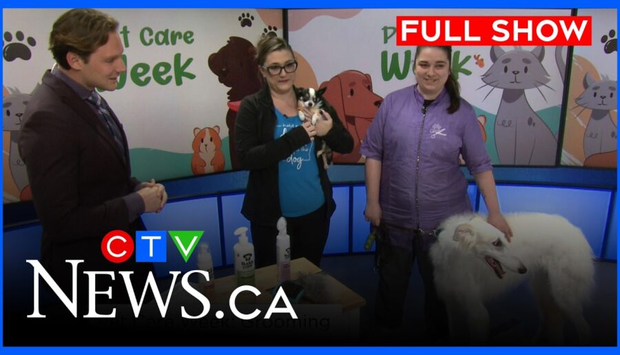 CTV Your Morning Ottawa for Monday, April 6, 2026