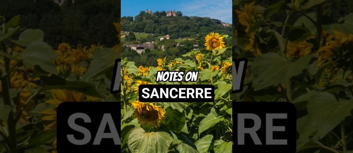 Notes on Sancerre #wineeducation #sancerre #frenchwine