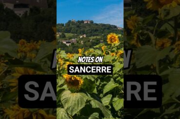 Notes on Sancerre #wineeducation #sancerre #frenchwine