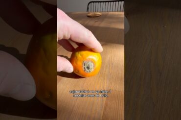 Pourquoi les Français n’aiment pas le LULO 🇨🇴 (recette facile pour le rendre incroyable)