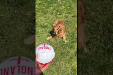 What a day looks like when you make your dream come true of moving from the UK to southern