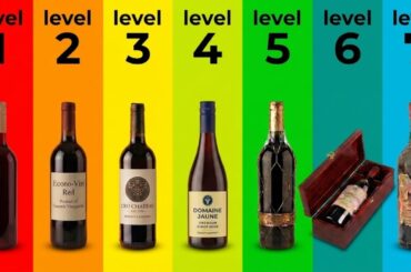 The 7 Levels of Red Wine (Stop Overpaying Now)