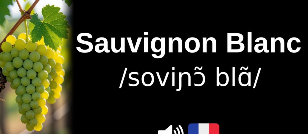 How to pronounce Sauvignon Blanc (CORRECTLY!)