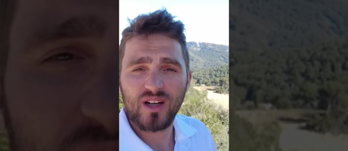 #kaliningradlife #насждут#франция#вино#лето2026