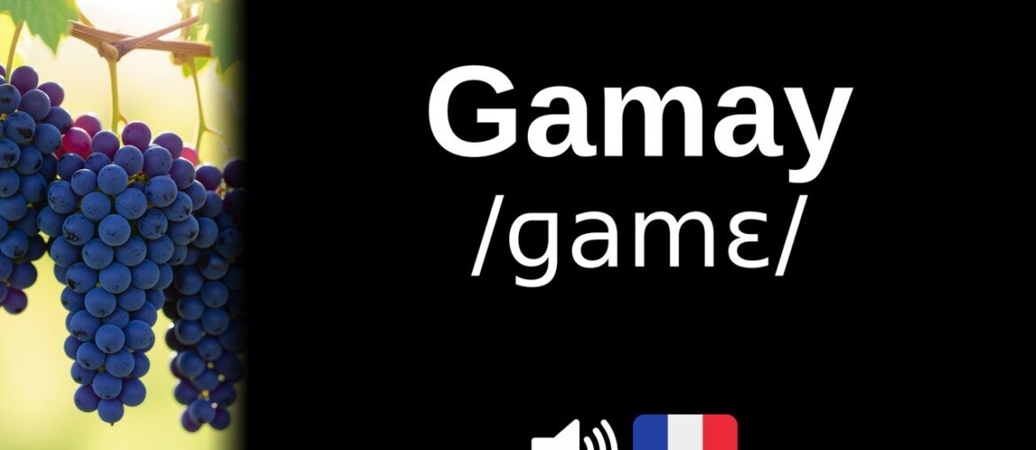 How to pronounce Gamay (CORRECTLY!)