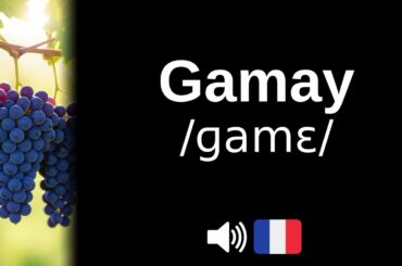 How to pronounce Gamay (CORRECTLY!)
