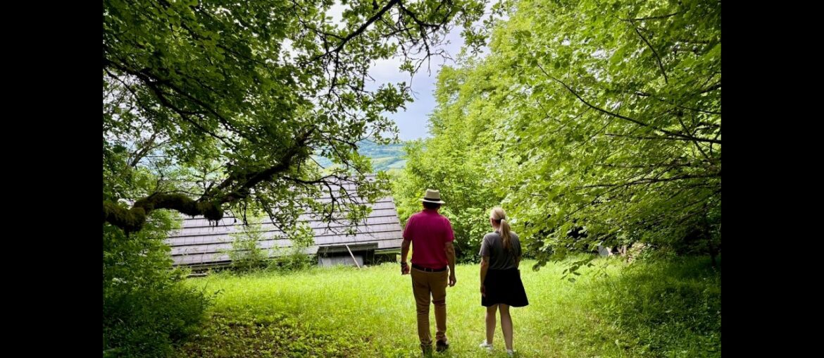 The Vosges & Alsace: Hidden Gems of Eastern France | The Wanderlust Sessions Ep. 2