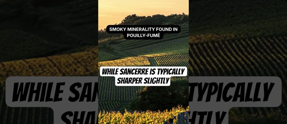 Whites of the Loire Valley #sancerre #frenchwine #wineeducation