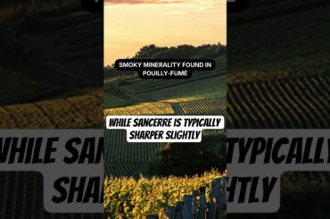 Whites of the Loire Valley #sancerre #frenchwine #wineeducation