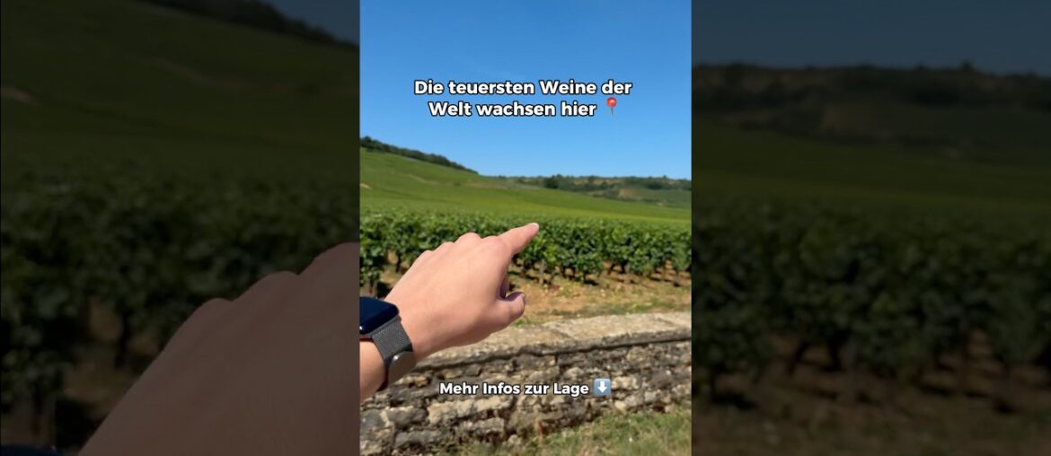 📍 Hier entsteht einer der begehrtesten Weine der Menschheit: Romanée-Conti