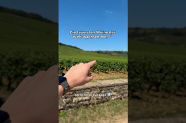 📍 Hier entsteht einer der begehrtesten Weine der Menschheit: Romanée-Conti