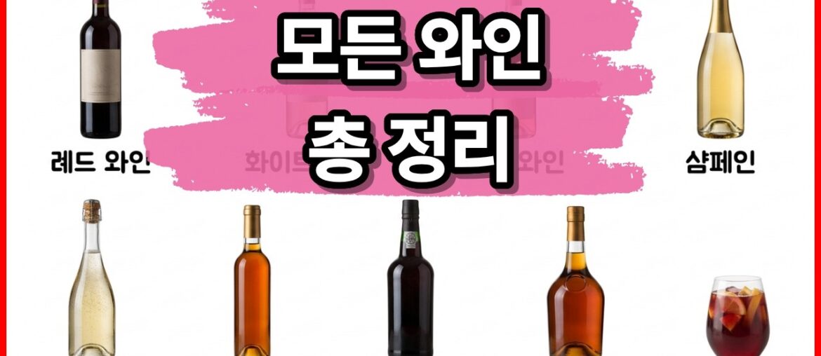 17분에 끝내는 모든 와인 설명