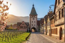 Disney-like Fairytale French Villages on Bike | Part2 | Kaysersberg to Ribeauvillé 4K Cycling