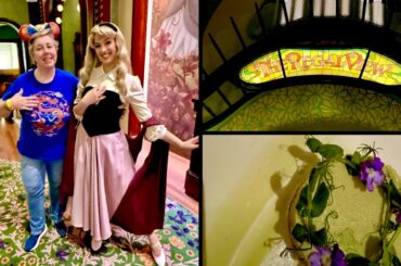 Regal View Princess Dining in Disney Adventure World