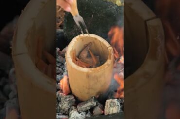 Gourmet Camping: A Chef's Wild Adventure