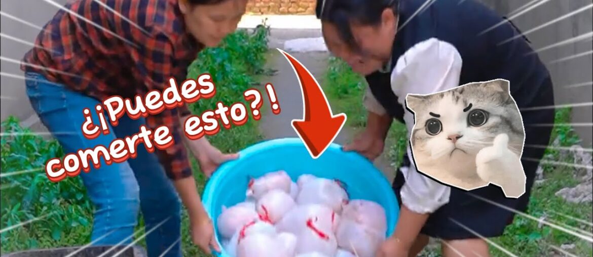 Transformando ingredientes extraños en delicias gourmet