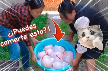 Transformando ingredientes extraños en delicias gourmet