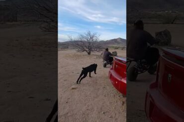 just a little tune up on the mini bike #flipper #minibike #rider #misterfixit