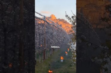 Why these farmers lighting their fields?