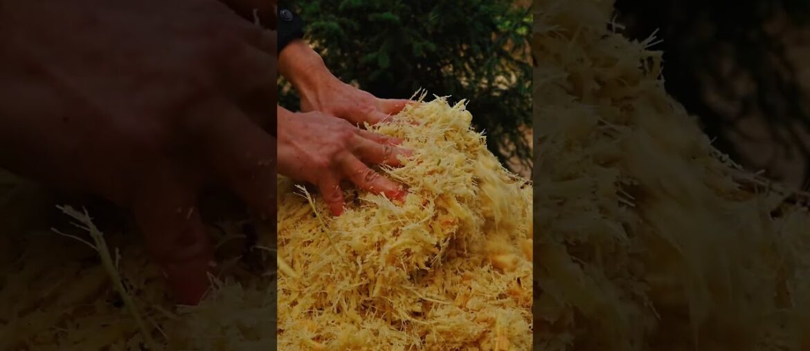 Tasty Home Dish in Minutes 🔥 #shorts  #cheflife #foodvlogs #foodiehub #gourmet #foodlover