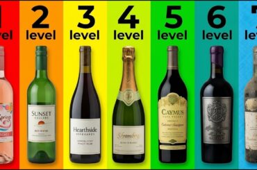 7 Levels of Wine Quality