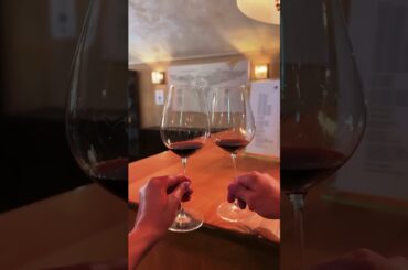 Tucked among the vineyards of Bordeaux, Saint-Émilion feels like stepping into another time