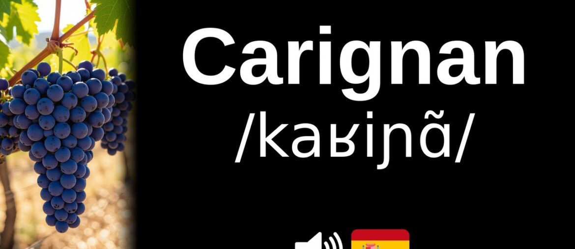 How to pronounce Carignan (CORRECTLY!) How to pronounce Carignan (CORRECTLY!)