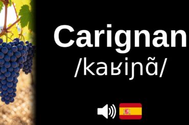 How to pronounce Carignan (CORRECTLY!)