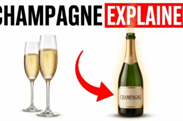Everything You Need to Know About Champagne