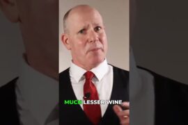 Why $400 Wine? The Costly Craft of Luxury Winemaking