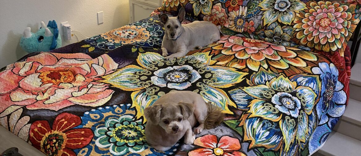 Help me put art above my bed!!