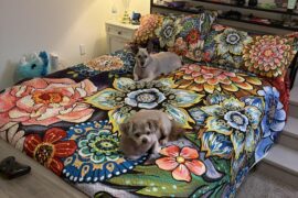 Help me put art above my bed!!