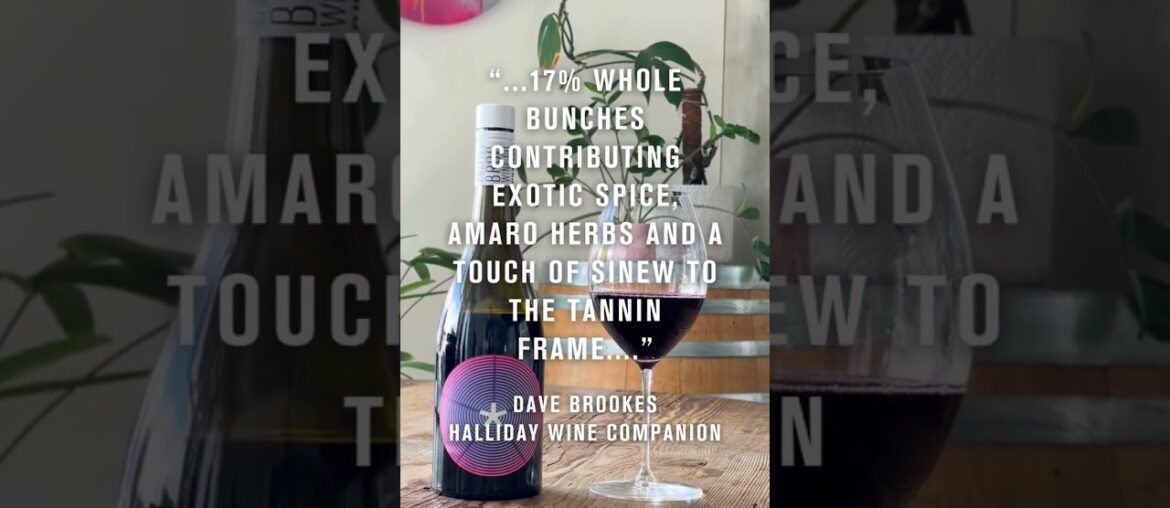 Omnia Nova: Barossa Syrah