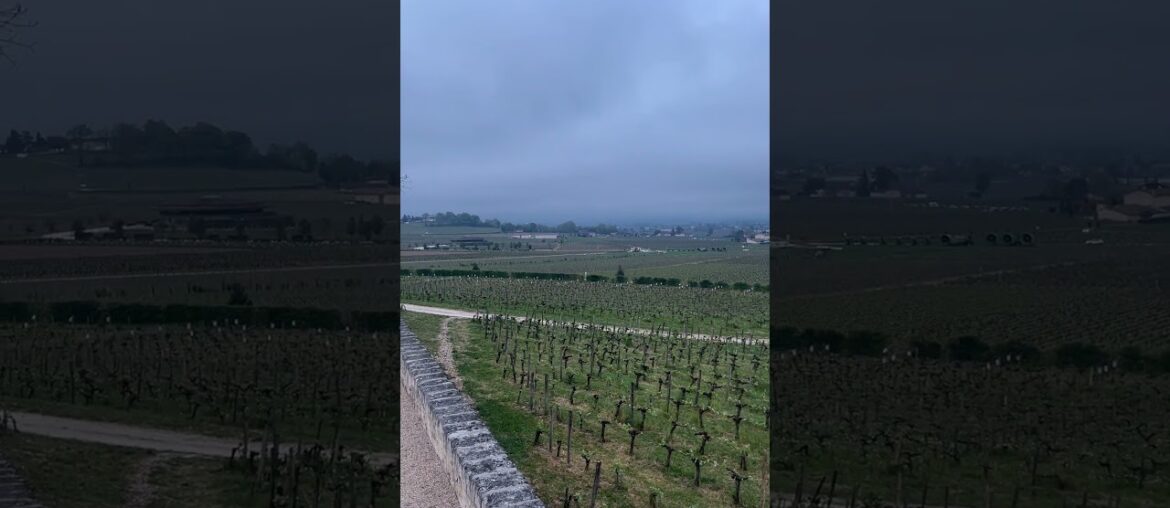 Chateau Bellevue in St Emilion - Even on an Overcast Morning the View Here is Amazing!