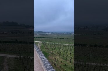 Chateau Bellevue in St Emilion - Even on an Overcast Morning the View Here is Amazing!