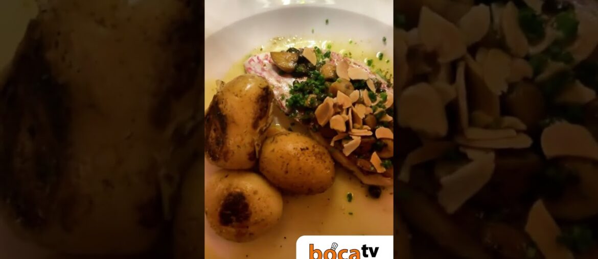 Brasserie francesa chega ao Morumbi Shopping 🍽️🇫🇷