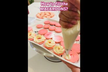 How to fill MACARONS ? French Macarons|french treats |delicious|yummy😋|shortsfeed|shorts