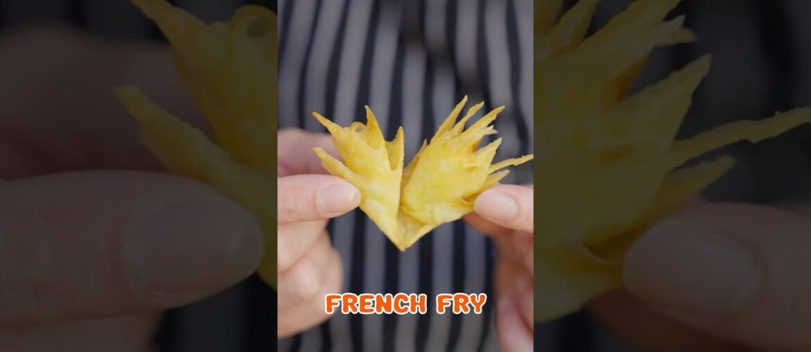 Discovering New French Fry Shapes
